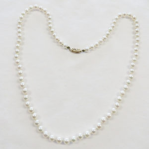 Daintier White