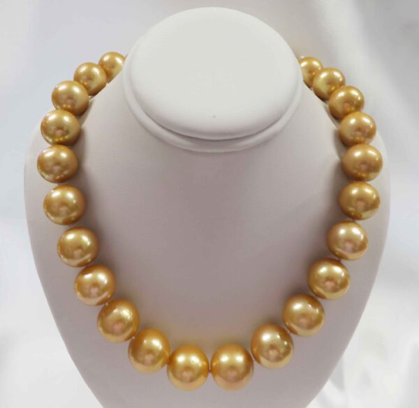 Golden Royalty (7)