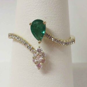 The Teardrop Crown