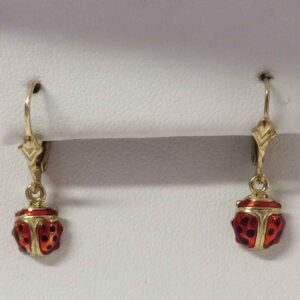 Little Red Lady Bug