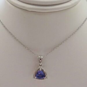 The Violet Shield’s Partner