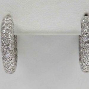 Sparkles
