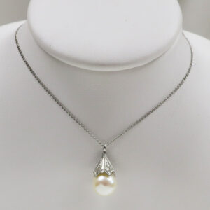 Bell Caped Beauty